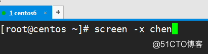 screen简单使用