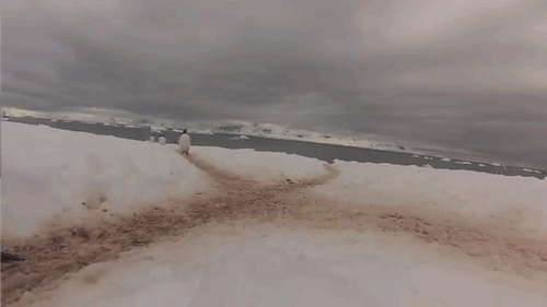 02c0ccad31877b9df545e1bc240ce430.gif
