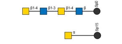 Vectorlabs的凝集素产品--绒毛蚕豆凝集素(Vicia Villosa Lectin)