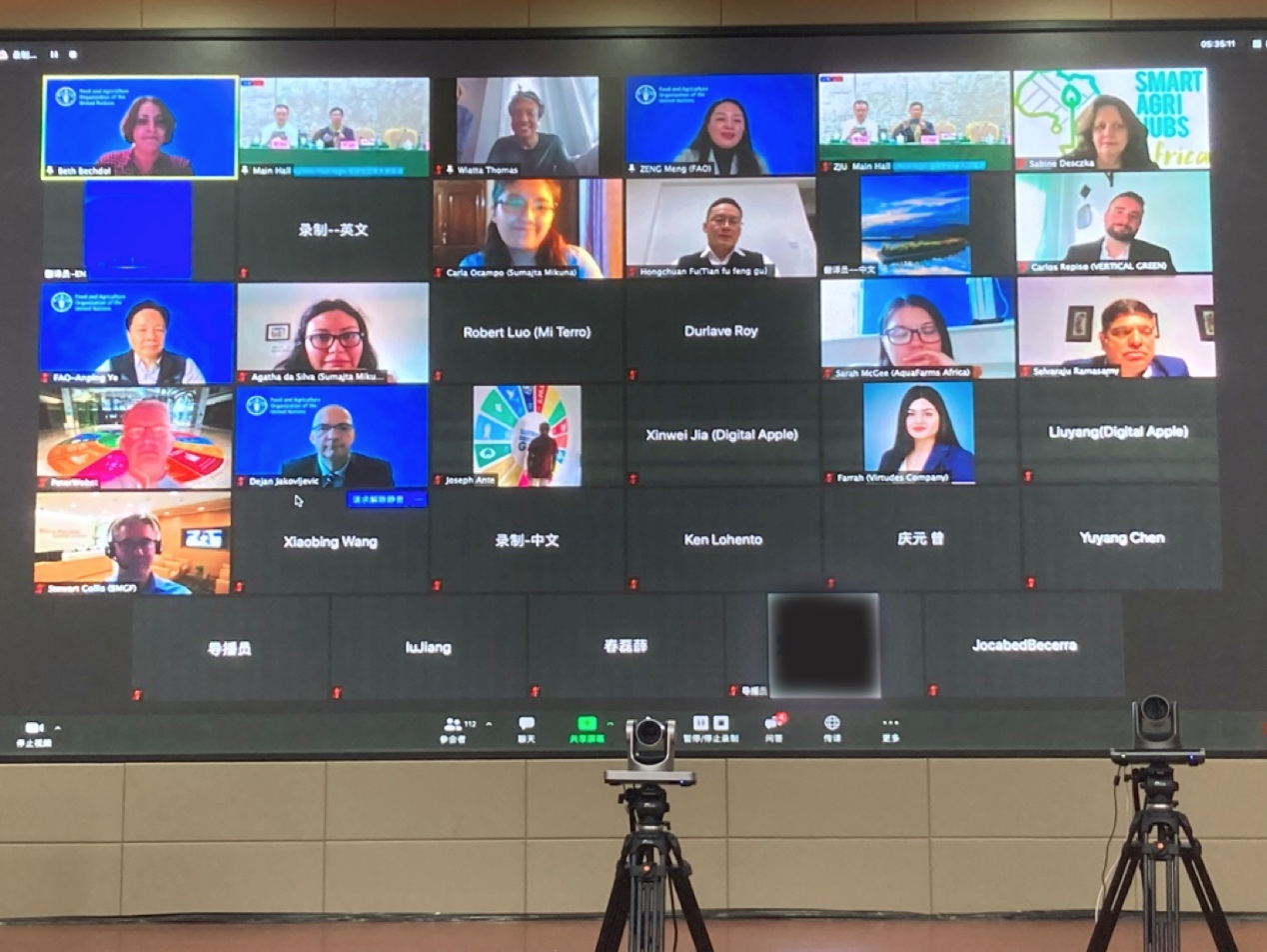 我敲了 13 年代码，却成了一个养蜂人