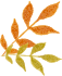 bcbc158c3b85f57668f84e24632339de.png