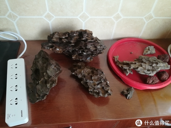 开缸种草篇