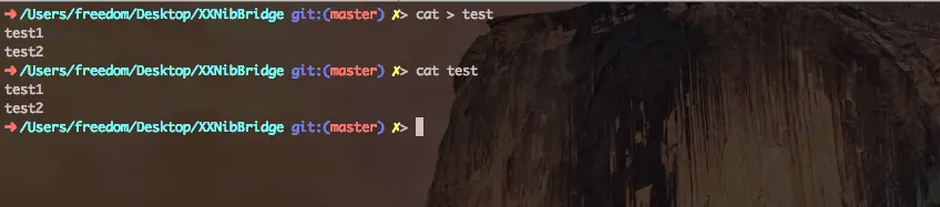 stdin demo 1.png
