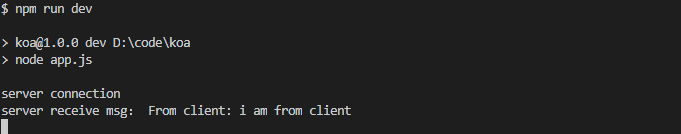 WebSocket服务端运行结果