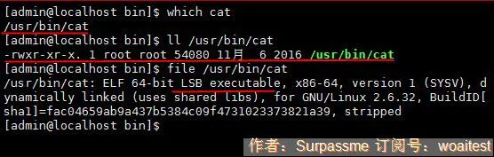 25-2 which命令示例-1_c2i.jpg