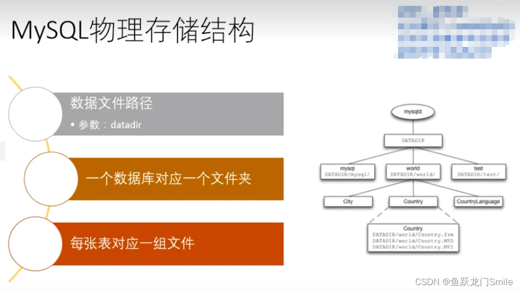 mysql体系结构及主要文件_mysql 文件结构-CSDN博客