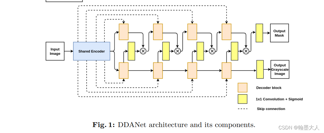 DDANet: Dual Decoder Attention Network for Automatic Polyp Segmentation ...