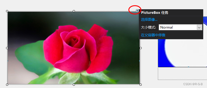 在这里插入图片描述