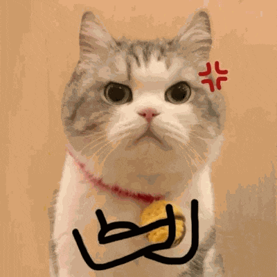 d5411f2ff665685dbcf3884c59c134fd.gif