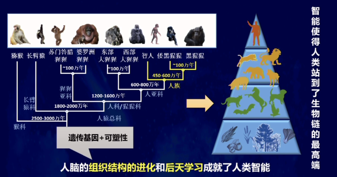d7c0a995251c34fc78126eeb990c45b5.png
