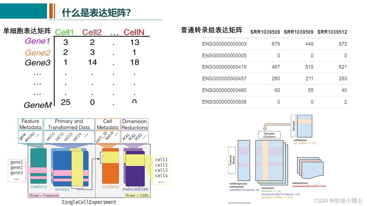 2023-11-28-直播单细胞图表美化-seurat数据结构 featureplot dotplot vlnplot_nebulosa如何 ...