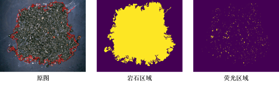 图 6‑5  轮廓检测及荧光分割示例