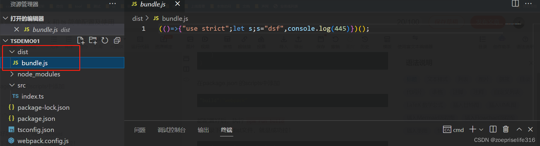 webpack 和 ts 简单配置及使用_webpack + ts-CSDN博客