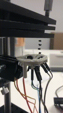 bf70e4b50e8c6f250cb17c4c19951371.gif