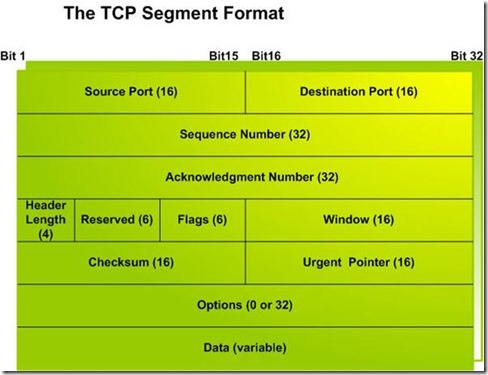 TCP3