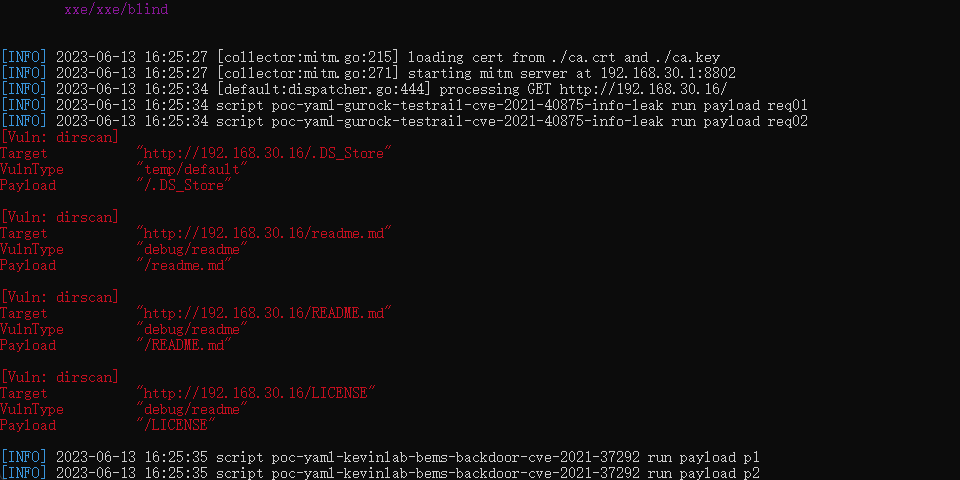 Xray 安装与使用心得插图41 image-20230613162746734
