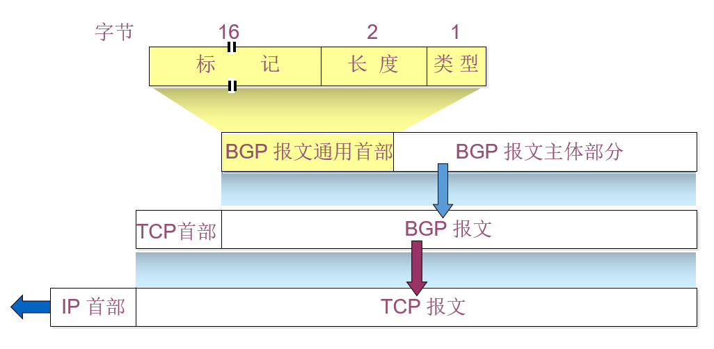 image-20200210202320529