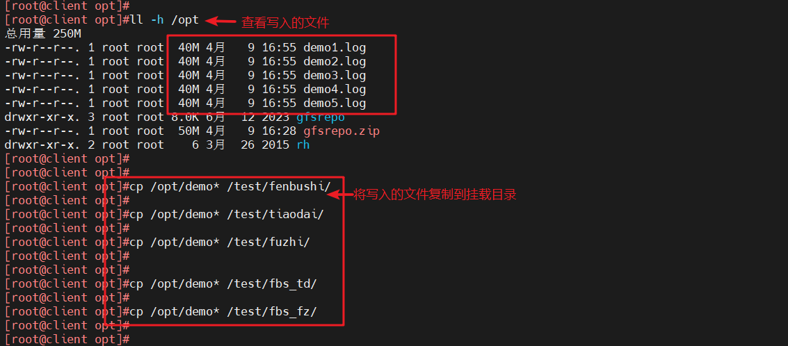 image-20240409170332262