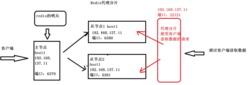 13638982-2262cf499bc1bd7d.png