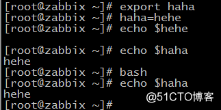 1、shell编程(shell脚本)_理解编程和变量