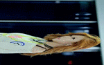 o_transpose.gif