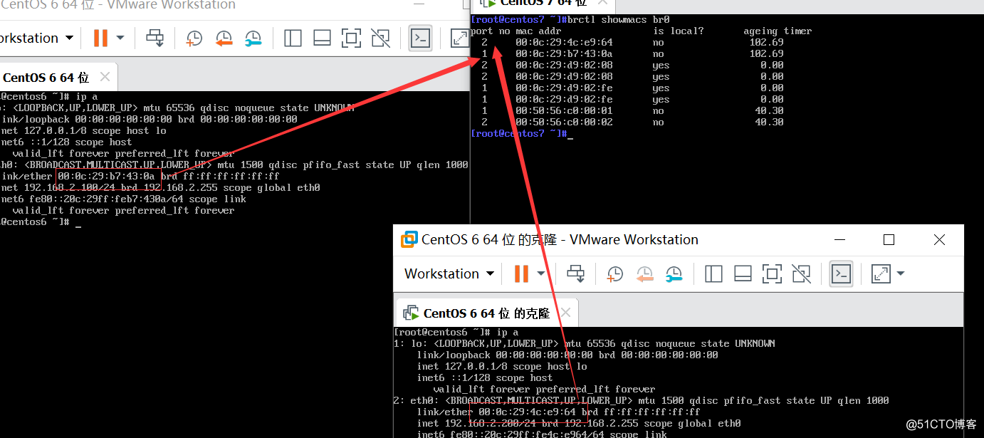 linux简单的网桥实验
