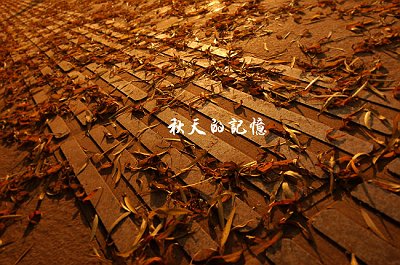 DSC_0042 拷贝.jpg