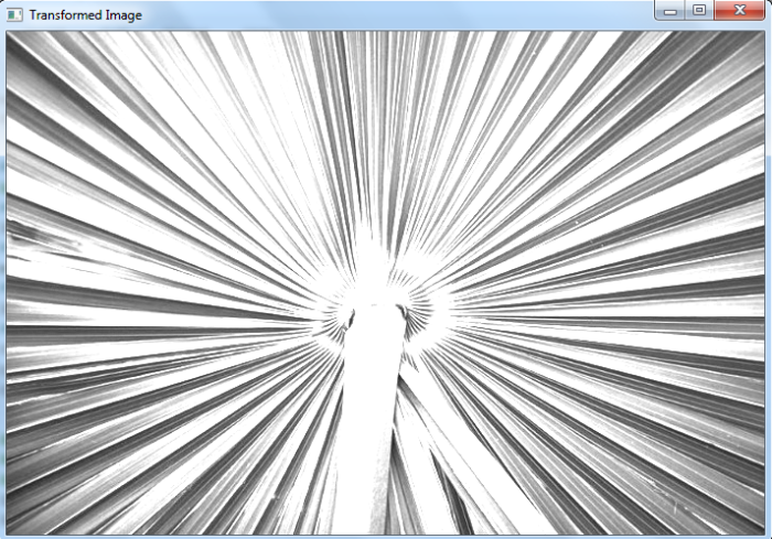 如何在OpenCV Python中执行矩阵变换？