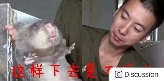 watermark,image_bG9nby9jc2RuXzEucG5nP3gtb3NzLXByb2Nlc3M9aW1hZ2UvcmVzaXplLGhfNDg=,g_se,x_0,y_0,t_100