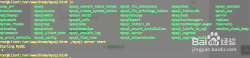 mysql忘记root密码解决办法