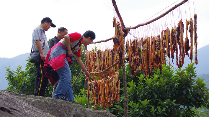 罗浮山自驾小结