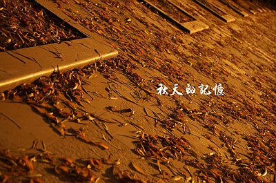 DSC_0041 拷贝.jpg