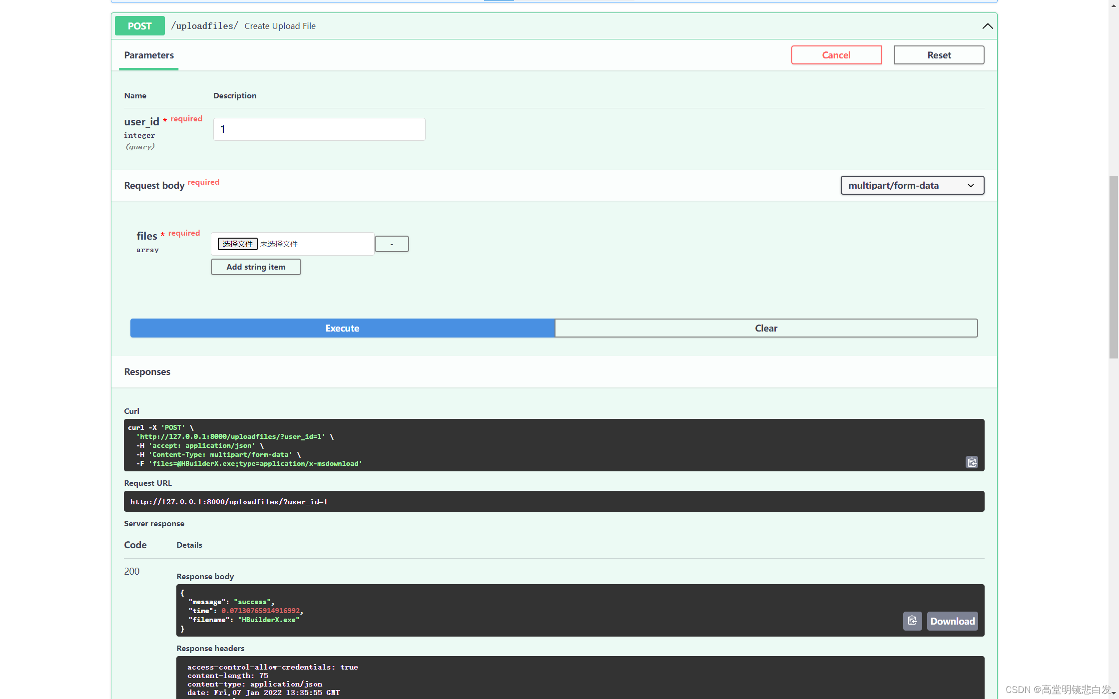 FastAPI 对用户文件的管理(上传、下载、删除)_fastapi file-CSDN博客