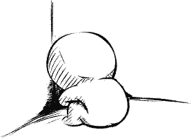 qjhqq.png