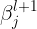 \large \beta ^{l+1}_j
