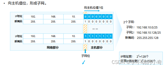 网工-网络层协议详解