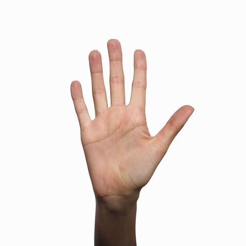 2b43c1247810906d4585311915baee81.jpeg