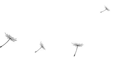 791f14d6a6831da17e6b00777c68a9b48ba.gif