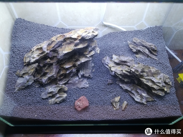 开缸种草篇
