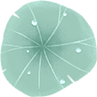 724d8d787b7eb189a879677da5c1fe98.png