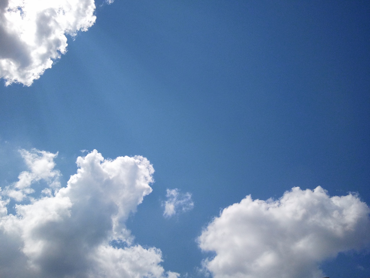 2010083009201981.jpg