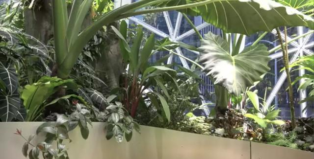 西雅图亚马逊1个月入职日记，传闻中的“血汗工厂”真实存在吗？