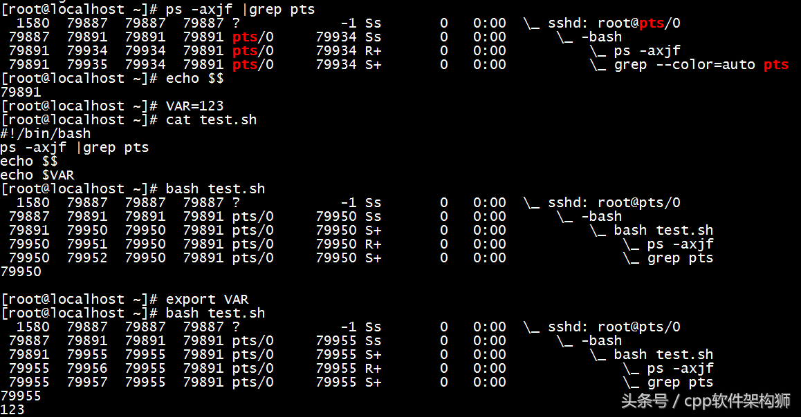 5分钟快速搞懂Shell基础知识
