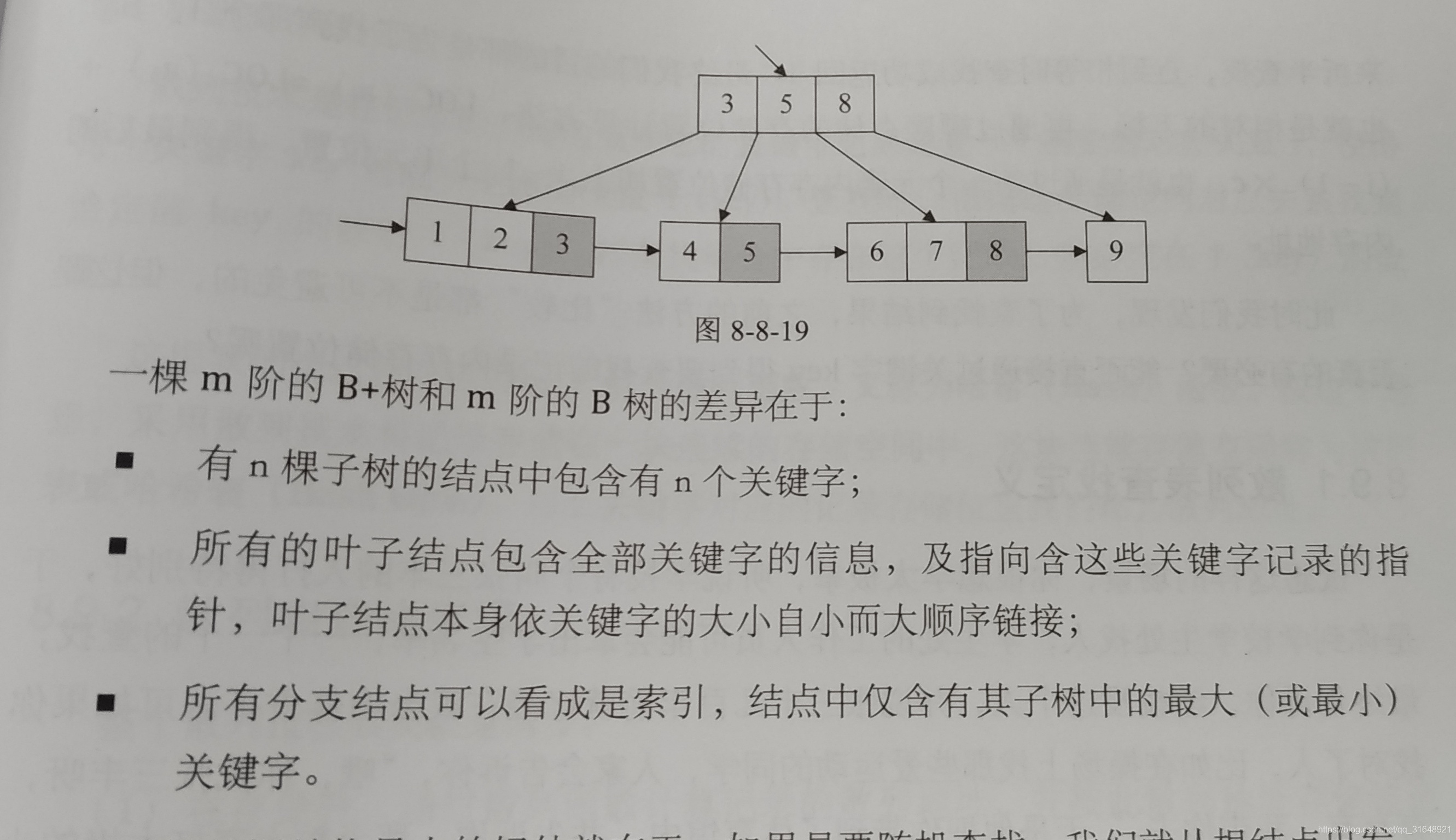 B+树
