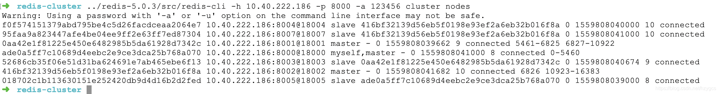 cluster status