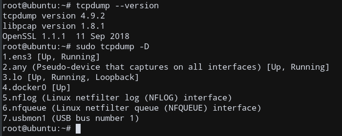 Tcpdump List Interfaces