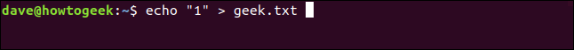 The "echo "1" > geek.txt" command in a terminal window.