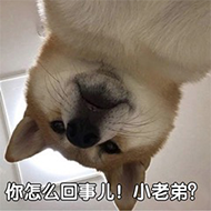 1422640-20190427180419039-716350443.png