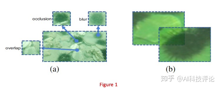 a1622603cb149edf2b764fa2799164bc.png