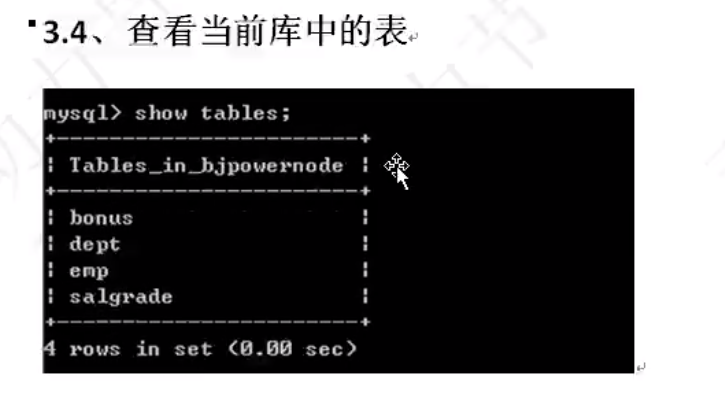 image-20220207100901115